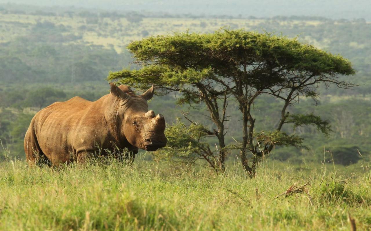 Thanda Safari Hluhluwe Exterior foto